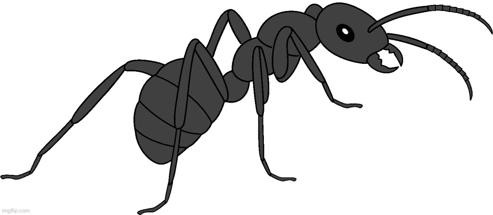 Female Titanomyrma (Paleoverse + EOIverse) | image tagged in female titanomyrma paleoverse eoiverse | made w/ Imgflip meme maker