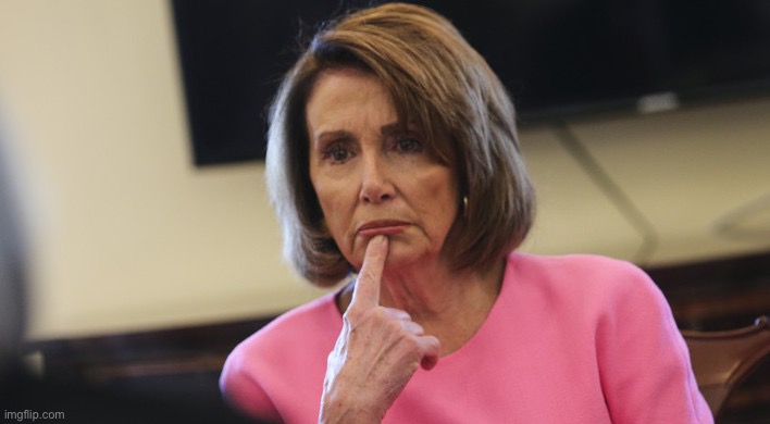 image tagged in pelosi philosoraptor | made w/ Imgflip meme maker