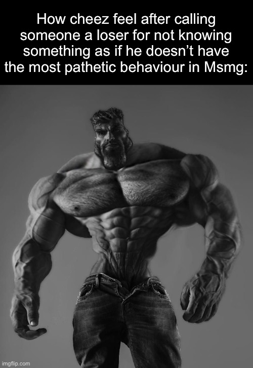GigaChad | How cheez feel after calling someone a loser for not knowing something as if he doesn’t have the most pathetic behaviour in Msmg: | image tagged in gigachad | made w/ Imgflip meme maker