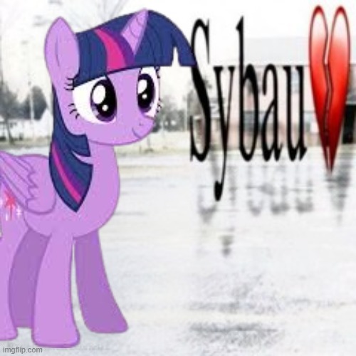 idk guys its Twilight Sparkle | image tagged in sybau empty,twilight,twilight sparkle,my little pony,idk | made w/ Imgflip meme maker