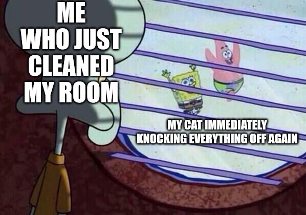 Squidward window | ME WHO JUST CLEANED MY ROOM; MY CAT IMMEDIATELY KNOCKING EVERYTHING OFF AGAIN | image tagged in squidward window | made w/ Imgflip meme maker