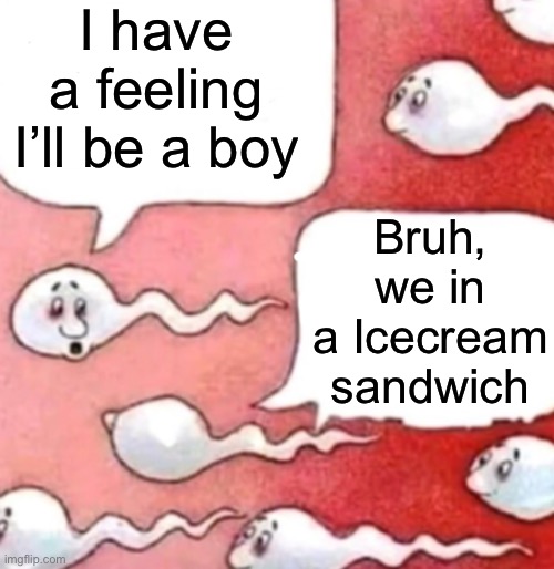 Was bored and this came to mind | I have a feeling I’ll be a boy; Bruh, we in a Icecream sandwich | image tagged in sperm conversation,memes,funny,relatable,cursed image,you have been eternally cursed for reading the tags | made w/ Imgflip meme maker