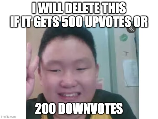 iwilldeletethis | I WILL DELETE THIS IF IT GETS 500 UPVOTES OR; 200 DOWNVOTES | image tagged in funny | made w/ Imgflip meme maker