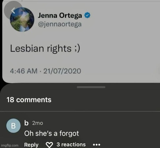 made w/ Imgflip meme maker