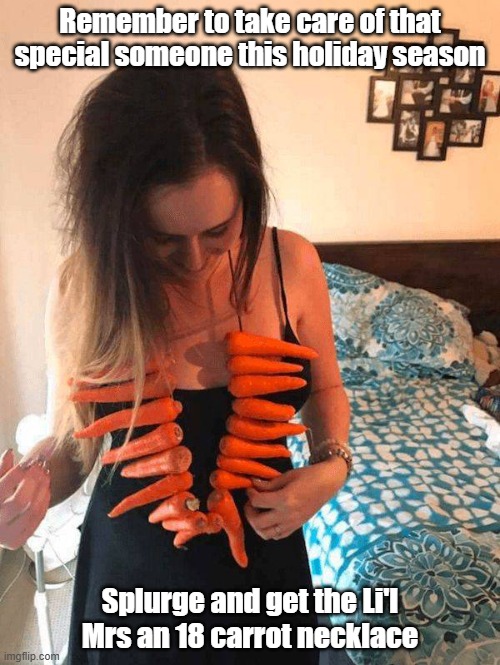 18 Carrot | Remember to take care of that special someone this holiday season; Splurge and get the Li'l Mrs an 18 carrot necklace | image tagged in jewelry,wifey,holiday,dating | made w/ Imgflip meme maker