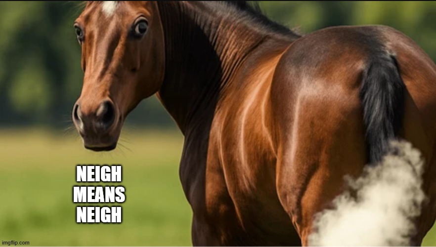 neigh means neigh | image tagged in memes,funny,horse | made w/ Imgflip meme maker