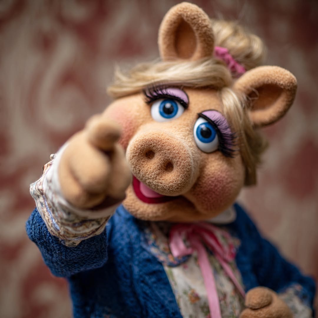 Quiet Piggy Blank Meme Template