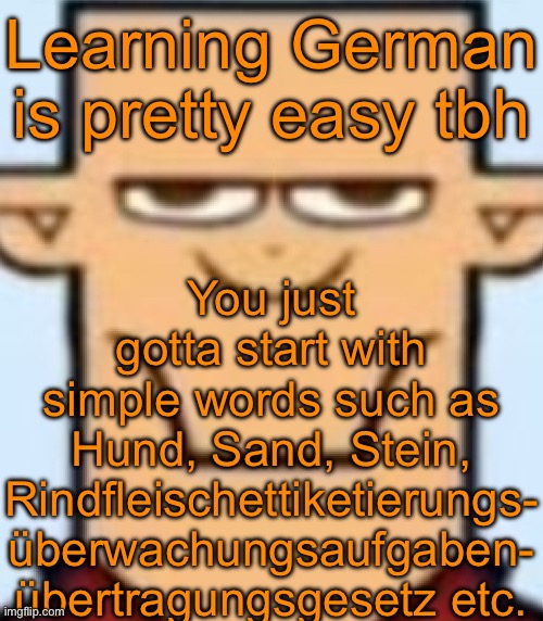 Sped Tyler | You just gotta start with simple words such as Hund, Sand, Stein, Rindfleischettiketierungs- überwachungsaufgaben- übertragungsgesetz etc. Learning German is pretty easy tbh | image tagged in sped tyler | made w/ Imgflip meme maker