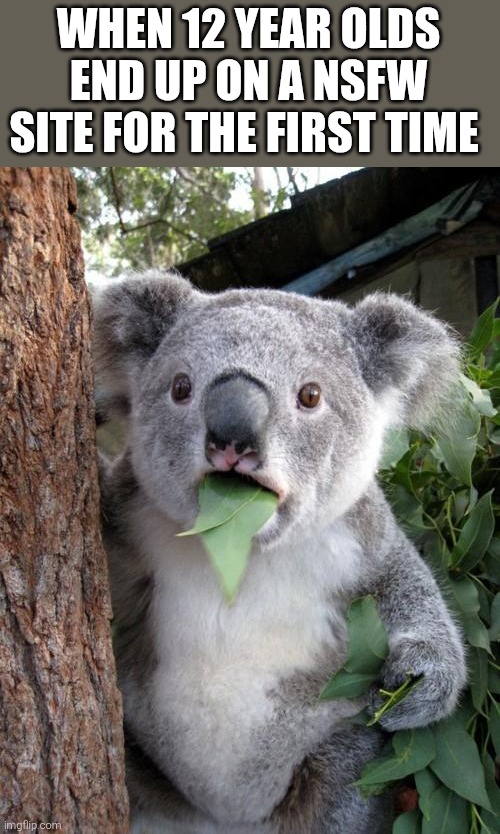 innocence is gone | WHEN 12 YEAR OLDS END UP ON A NSFW SITE FOR THE FIRST TIME | image tagged in memes,surprised koala | made w/ Imgflip meme maker