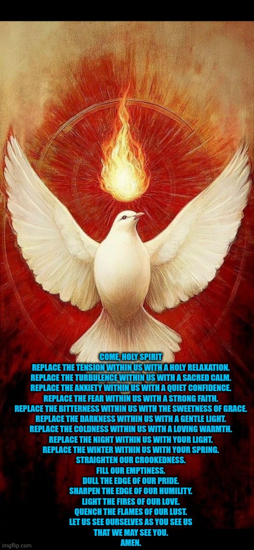 Come Holy Spirit | COME, HOLY SPIRIT
REPLACE THE TENSION WITHIN US WITH A HOLY RELAXATION.
REPLACE THE TURBULENCE WITHIN US WITH A SACRED CALM.
REPLACE THE ANXIETY WITHIN US WITH A QUIET CONFIDENCE.
REPLACE THE FEAR WITHIN US WITH A STRONG FAITH.
REPLACE THE BITTERNESS WITHIN US WITH THE SWEETNESS OF GRACE.
REPLACE THE DARKNESS WITHIN US WITH A GENTLE LIGHT.
REPLACE THE COLDNESS WITHIN US WITH A LOVING WARMTH.
REPLACE THE NIGHT WITHIN US WITH YOUR LIGHT.
REPLACE THE WINTER WITHIN US WITH YOUR SPRING.
STRAIGHTEN OUR CROOKEDNESS.
FILL OUR EMPTINESS.
DULL THE EDGE OF OUR PRIDE.
SHARPEN THE EDGE OF OUR HUMILITY.
LIGHT THE FIRES OF OUR LOVE.
QUENCH THE FLAMES OF OUR LUST.
LET US SEE OURSELVES AS YOU SEE US
THAT WE MAY SEE YOU.

AMEN. | image tagged in holy spirit,jesus christ,faith | made w/ Imgflip meme maker