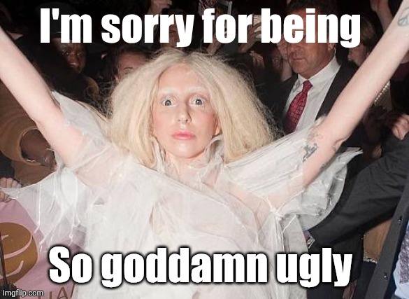 Lady CaCa | I'm sorry for being; So goddamn ugly | image tagged in pop music | made w/ Imgflip meme maker