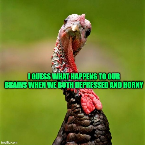 Turkey looking with curiosity | I GUESS WHAT HAPPENS TO OUR BRAINS WHEN WE BOTH DEPRESSED AND HORNY | image tagged in turkey looking with curiosity | made w/ Imgflip meme maker