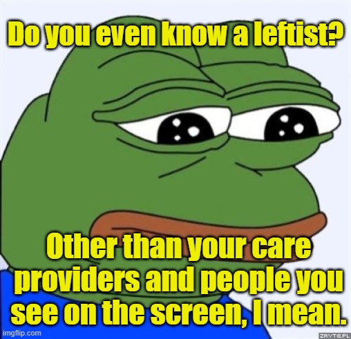 sad frog | Do you even know a leftist? Other than your care providers and people you see on the screen, I mean. | image tagged in sad frog | made w/ Imgflip meme maker