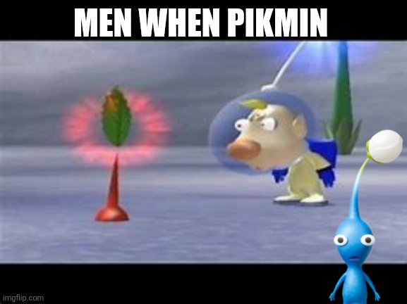 Idk | MEN WHEN PIKMIN | image tagged in surprised louie | made w/ Imgflip meme maker