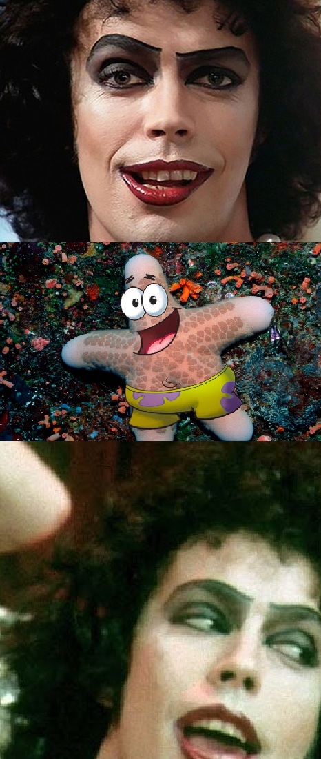 DO IT PATRICK, DO IT Blank Meme Template