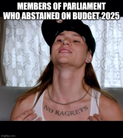 Doing nothing can achieve great things | MEMBERS OF PARLIAMENT WHO ABSTAINED ON BUDGET 2025 | image tagged in no ragrets,memes,house of commons,budget 2025,abstention,no election | made w/ Imgflip meme maker
