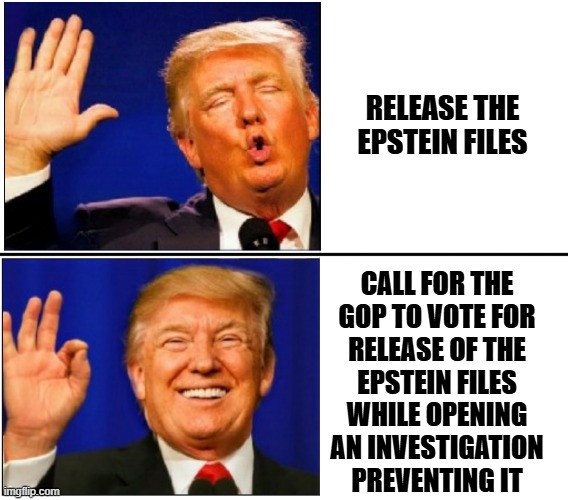 Guessing the Trump-cult would prolly look the other way if it's kids but knob-gobbling Clinton would be a bridge too far. | RELEASE THE EPSTEIN FILES; CALL FOR THE
GOP TO VOTE FOR
RELEASE OF THE
EPSTEIN FILES
WHILE OPENING
AN INVESTIGATION
PREVENTING IT | image tagged in trump no yes,trump,bill clinton,nothing to hide,nothing to fear,right | made w/ Imgflip meme maker