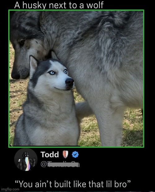 Trust me, you are not that guy pal. You are not that guy. | made w/ Imgflip meme maker