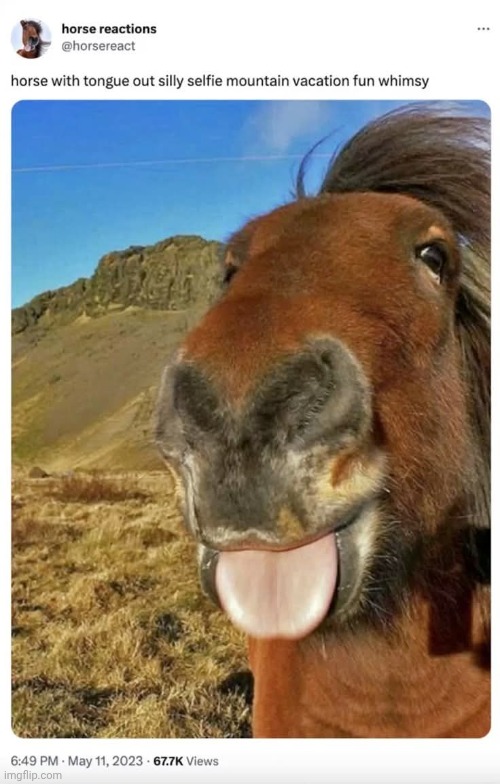 Hez so silly :P | made w/ Imgflip meme maker