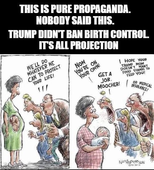 adding context to leftist comic | THIS IS PURE PROPAGANDA. 
NOBODY SAID THIS. TRUMP DIDN'T BAN BIRTH CONTROL.
IT'S ALL PROJECTION | image tagged in theleftcantmeme,memes,out of context | made w/ Imgflip meme maker