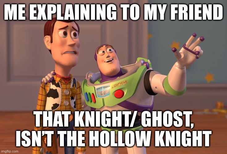 X, X Everywhere Meme | ME EXPLAINING TO MY FRIEND; THAT KNIGHT/ GHOST, ISN’T THE HOLLOW KNIGHT | image tagged in memes,x x everywhere | made w/ Imgflip meme maker