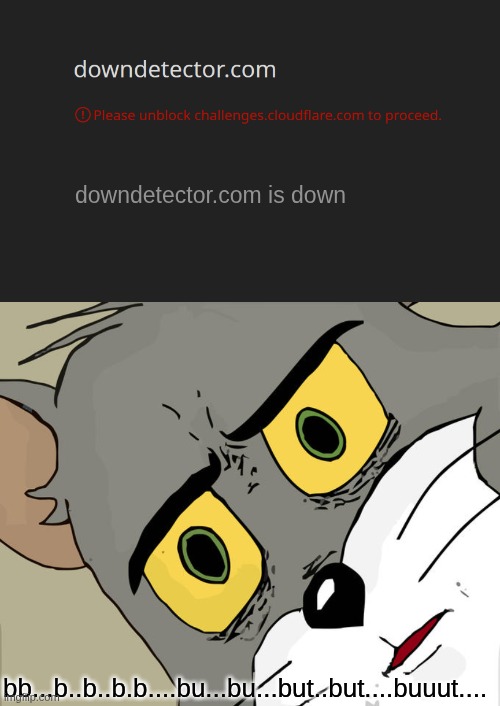 absolute peak irony | downdetector.com is down; bb...b..b..b.b....bu...bu...but..but....buuut.... | image tagged in memes,unsettled tom | made w/ Imgflip meme maker