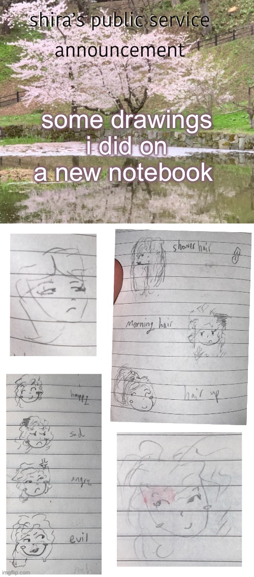 some drawings i did on a new notebook | image tagged in shira s psa | made w/ Imgflip meme maker