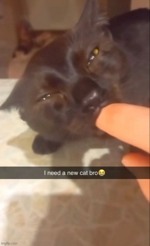 anyone know if pinterest ads are personalized or not | made w/ Imgflip meme maker