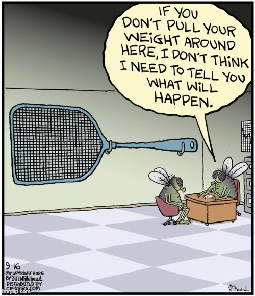 Free Range | image tagged in comics | made w/ Imgflip meme maker