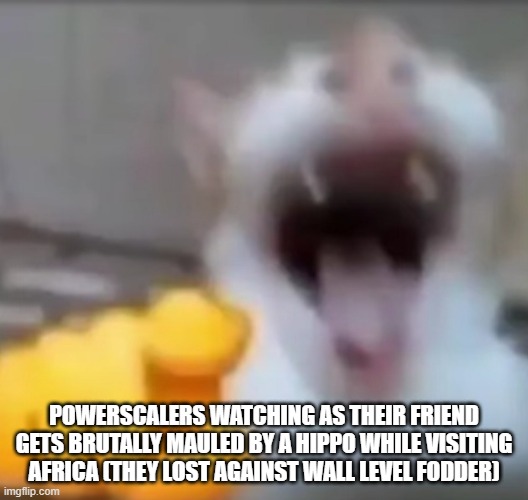 Their friends are certified frauds | POWERSCALERS WATCHING AS THEIR FRIEND GETS BRUTALLY MAULED BY A HIPPO WHILE VISITING AFRICA (THEY LOST AGAINST WALL LEVEL FODDER) | image tagged in cat pointing and laughing | made w/ Imgflip meme maker