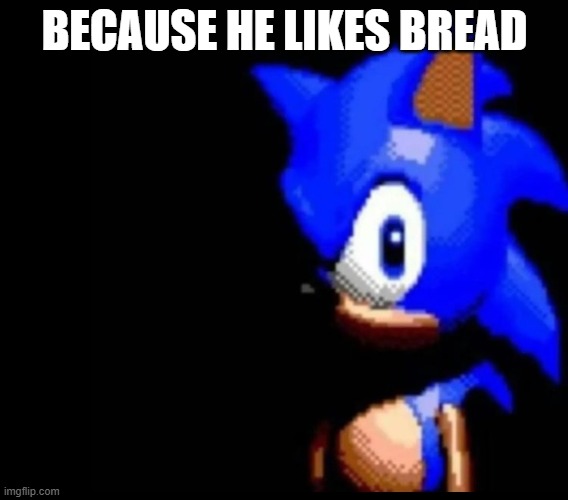 BECAUSE HE LIKES BREAD | image tagged in sonic stares | made w/ Imgflip meme maker