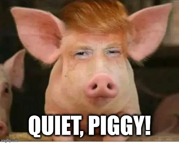 Quiet, Piggy! | QUIET, PIGGY! | image tagged in trump hog | made w/ Imgflip meme maker