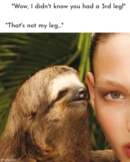 Russia is big. Wanna know what else is big? | "Wow, I didn't know you had a 3rd leg!"; "That's not my leg..." | image tagged in memes,sloth,dark humour | made w/ Imgflip meme maker
