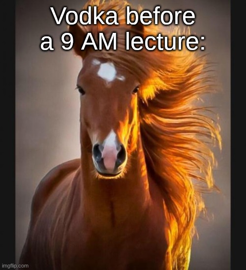 Horse | Vodka before a 9 AM lecture: | image tagged in horse | made w/ Imgflip meme maker