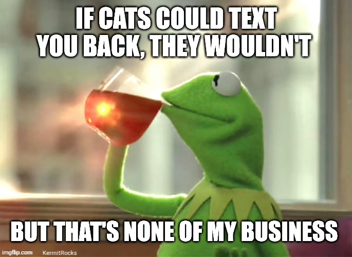 KermitRocks | image tagged in memes | made w/ Imgflip meme maker