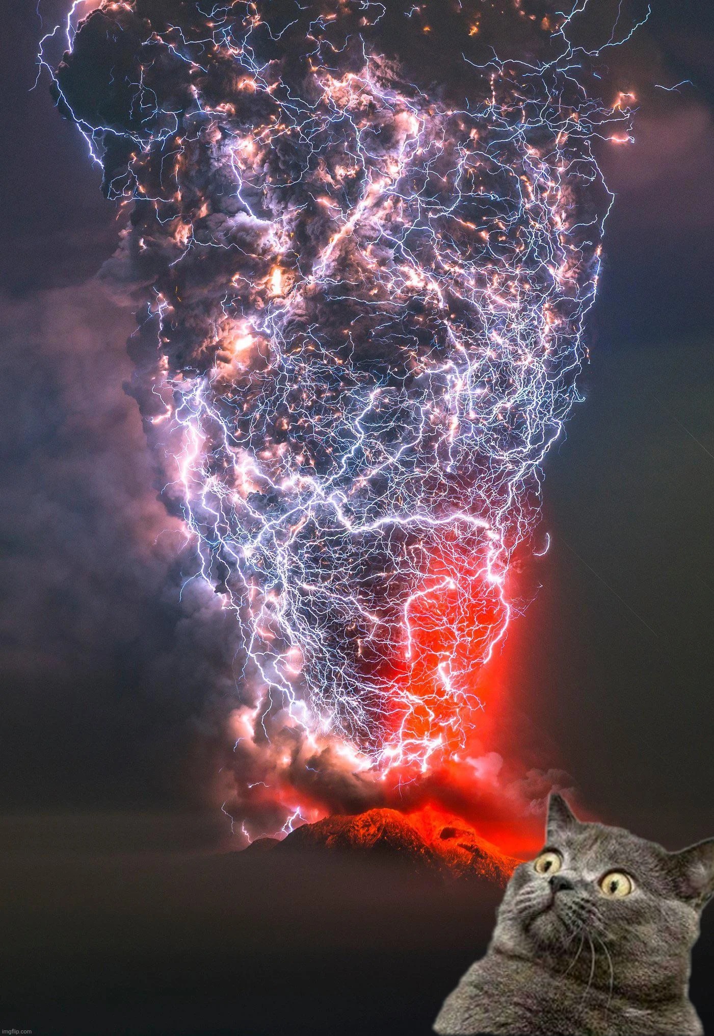 Concern | image tagged in concerned giorno | made w/ Imgflip meme maker