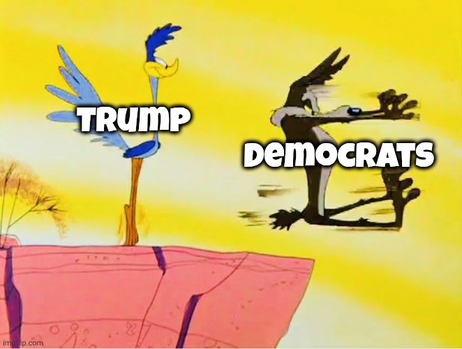 Road runner Adam Schiff | Trump Democrats | image tagged in road runner adam schiff | made w/ Imgflip meme maker