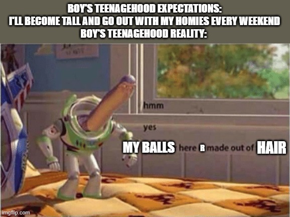 relatable | BOY'S TEENAGEHOOD EXPECTATIONS: I'LL BECOME TALL AND GO OUT WITH MY HOMIES EVERY WEEKEND
BOY'S TEENAGEHOOD REALITY:; HAIR; MY BALLS; R | image tagged in hmm yes the floor here is made out of floor,me and the boys,puberty,funny,dank,memes | made w/ Imgflip meme maker