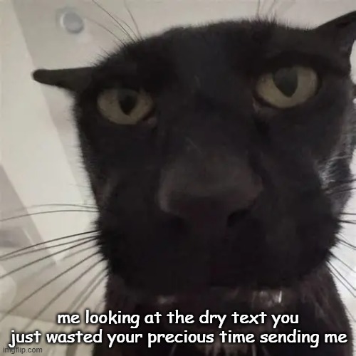 me looking at the dry text you just wasted your precious time sending me | made w/ Imgflip meme maker