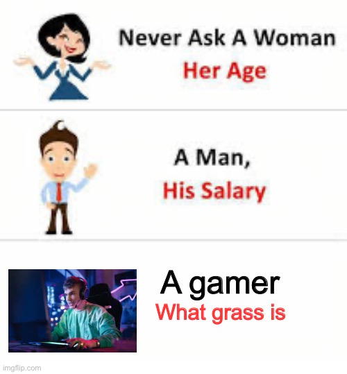 Never ask a woman her age | A gamer; What grass is | image tagged in never ask a woman her age | made w/ Imgflip meme maker