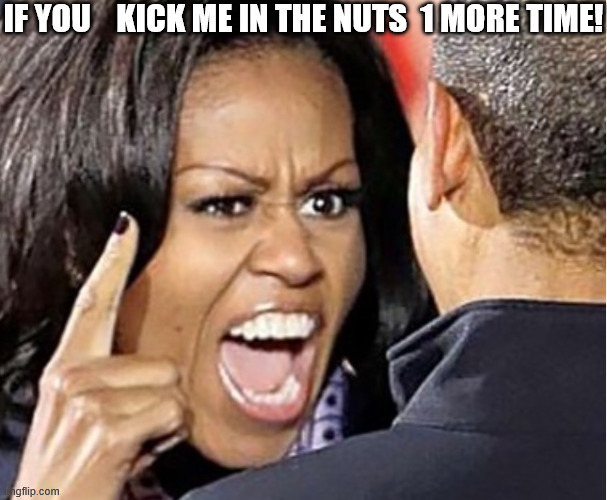 DO NOT   TRY  THAT    AGAIN! | IF YOU    KICK ME IN THE NUTS  1 MORE TIME! | image tagged in michelle obama,kick in the nuts,ouch my balls,damn that hurt,up yours | made w/ Imgflip meme maker
