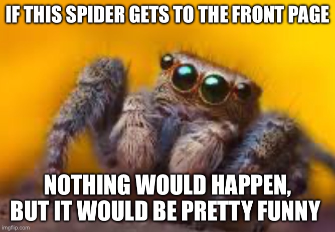 spider | IF THIS SPIDER GETS TO THE FRONT PAGE; NOTHING WOULD HAPPEN, BUT IT WOULD BE PRETTY FUNNY | image tagged in spider | made w/ Imgflip meme maker