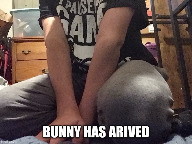 @#@ hai body reveal | BUNNY HAS ARIVED | made w/ Imgflip meme maker