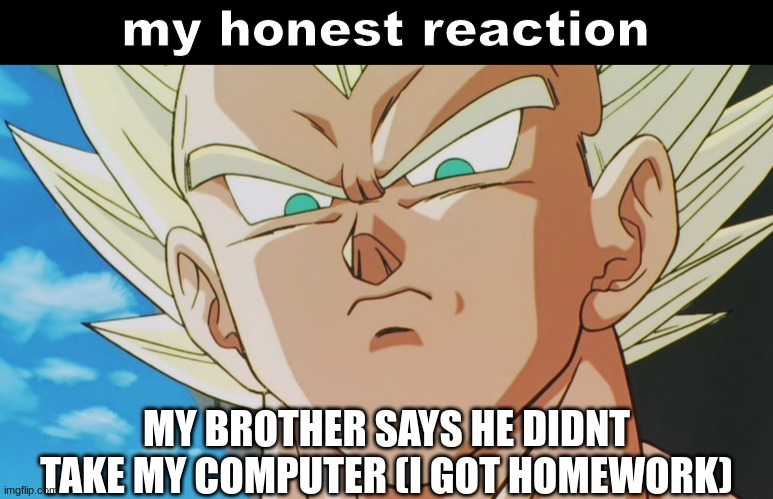 Im disappointed in you | MY BROTHER SAYS HE DIDNT TAKE MY COMPUTER (I GOT HOMEWORK) | image tagged in vegeta my honest reaction,school,homework | made w/ Imgflip meme maker