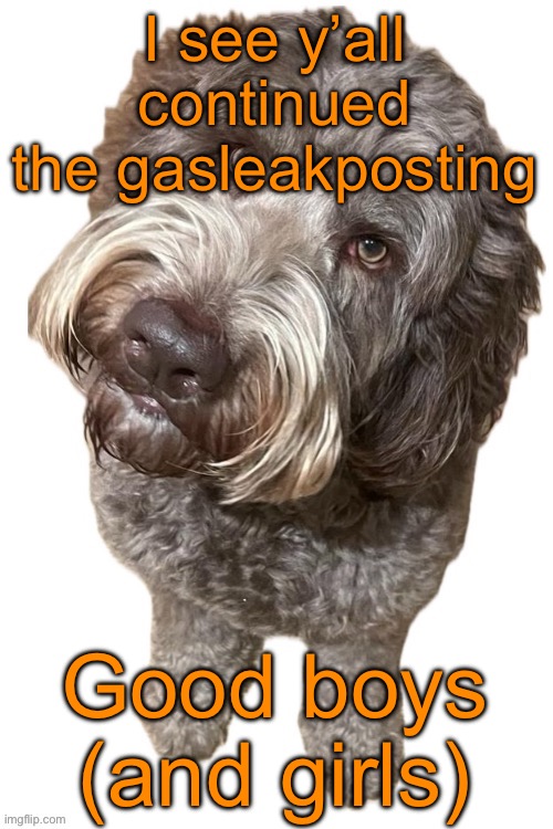 Norther's dog | I see y’all continued the gasleakposting; Good boys (and girls) | image tagged in norther's dog | made w/ Imgflip meme maker