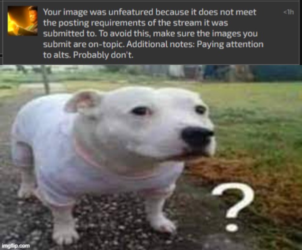 I was just talking about the bug alts, they might not even be alts | image tagged in dog question mark | made w/ Imgflip meme maker