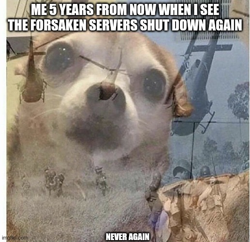 war flashback dog | ME 5 YEARS FROM NOW WHEN I SEE THE FORSAKEN SERVERS SHUT DOWN AGAIN; NEVER AGAIN | image tagged in war flashback dog | made w/ Imgflip meme maker