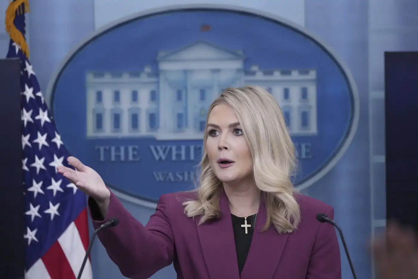 Caroline Leavitt press secretary Blank Meme Template
