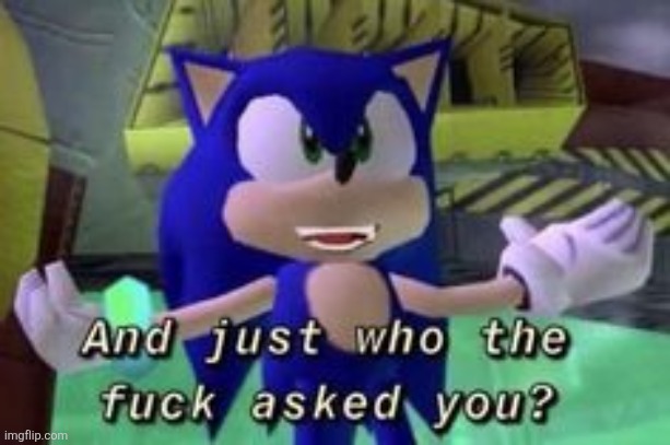 sonic who tf asked you | image tagged in sonic who tf asked you | made w/ Imgflip meme maker