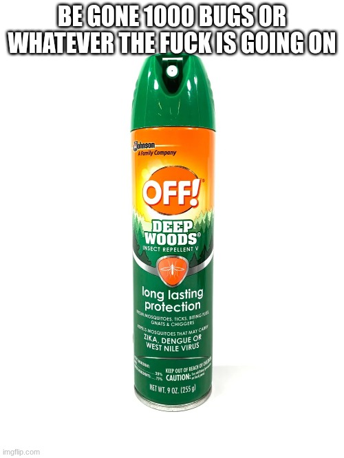 BE GONE 1000 BUGS OR WHATEVER THE FUCK IS GOING ON | made w/ Imgflip meme maker